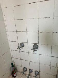 Black mould visible in the grout lines between shower tiles, with significant build-up across the tile joints. The image shows several taps on the shower wall, with mould spreading around them and across most of the white tile surfaces