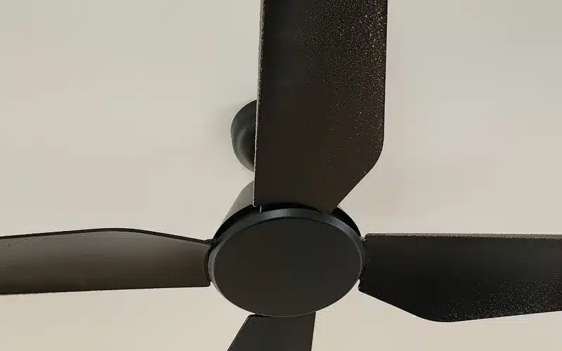 Thick dust build-up along ceiling fan blades