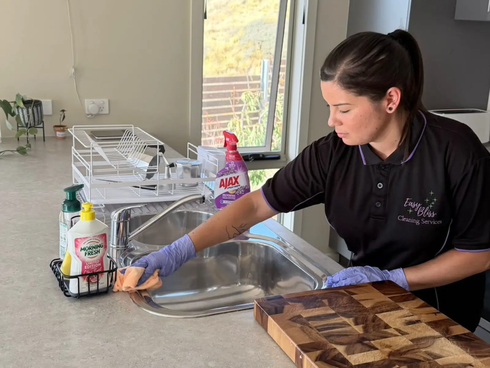 Easy Bliss 3D Cleaning System: Degrease, Sanitise, Detail