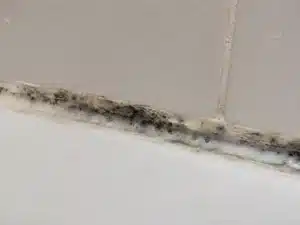 Mould in the silicone